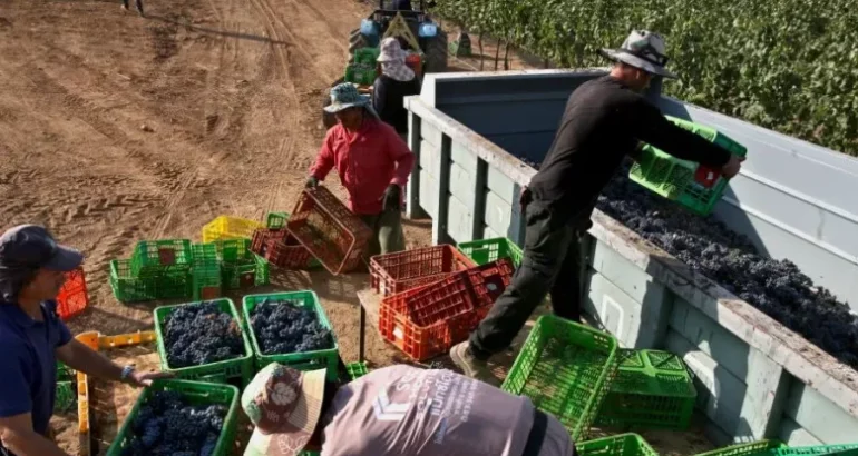 Kenya To Send 1,500 Farm Workers To Israel Amid Hamas War