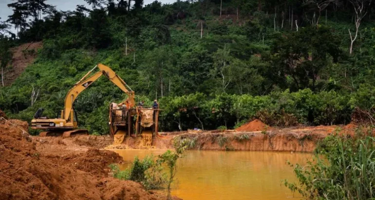 Three Forestry Commission Staff Killed By Suspected illegal Miners In 2023