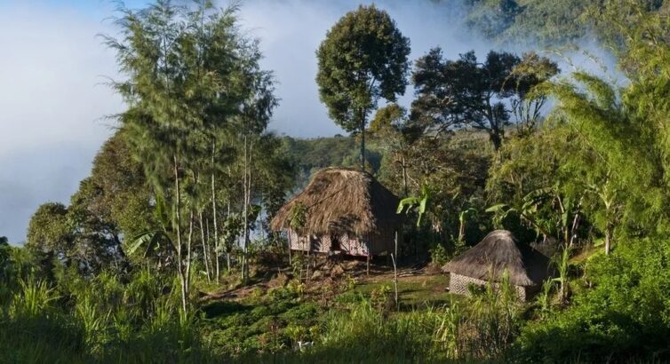 Papua New Guinea Ambush: More Than 50 Shot Dead In Highlands Region