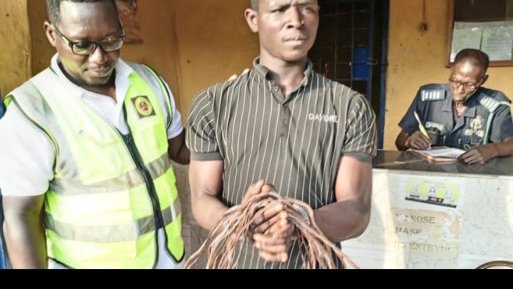 Cable Thief Caged One Month