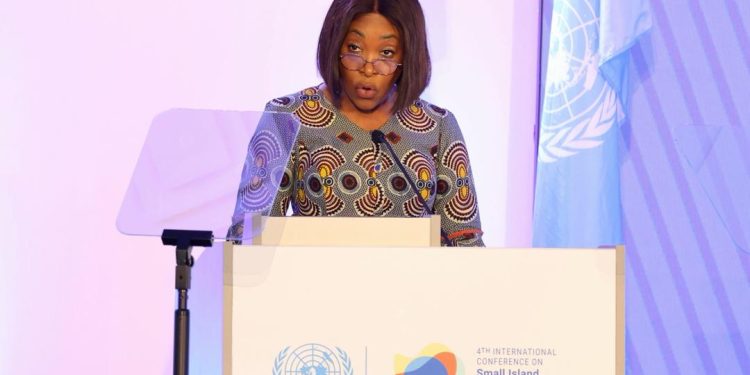 Ayorkor Botchwey Calls For Global Financial System Reform