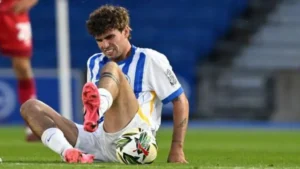 Matt O'Riley was injured on his Brighton debut on Tuesday