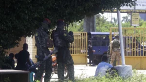 Soldiers stand guard at the People's Palace in Conakry, Guinea,