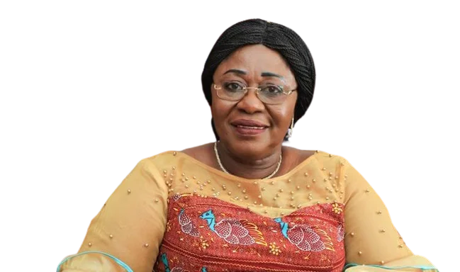 Akosua Frema Osei-Opare to Lead Government Transition Team