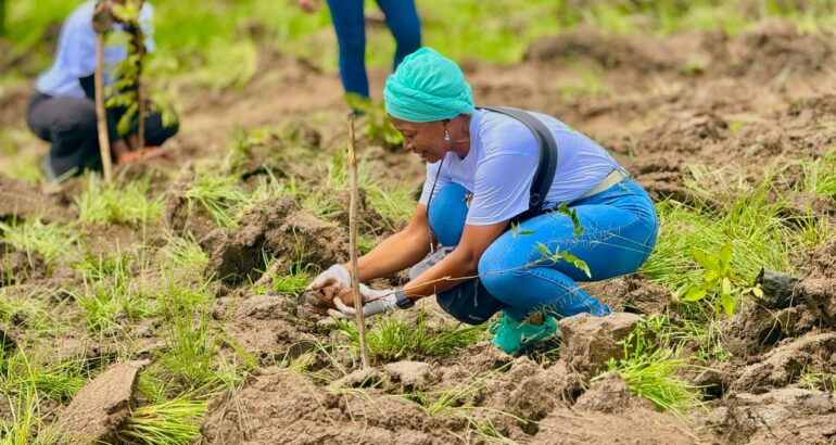 Shrinking Green Spaces Threaten Mental Health of Ghana’s Urban Children: Psychiatrist’s Warning