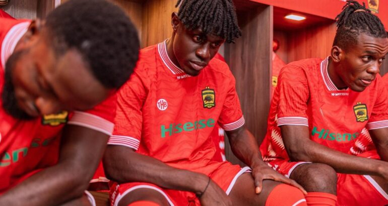 Porcupine Warriors Unveil Fresh Look with New THB Partnership