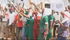 NURSES-DEMO